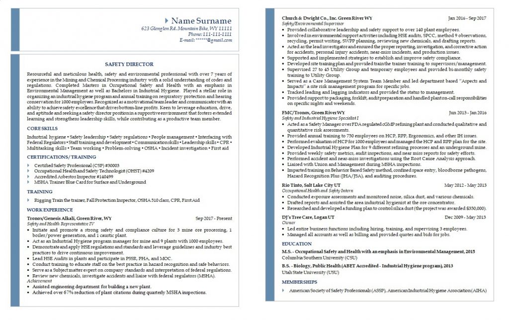 Safety director resume sample